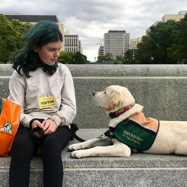 can i volunteer to train service dogs